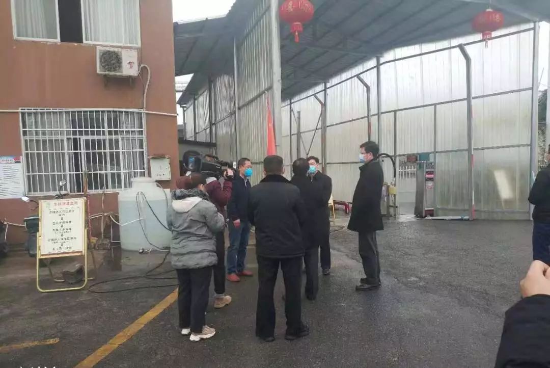 熟妇丰满多毛的大隂户