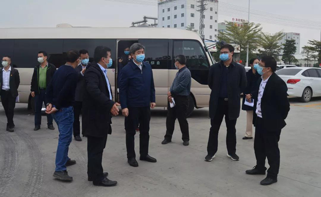 熟妇丰满多毛的大隂户