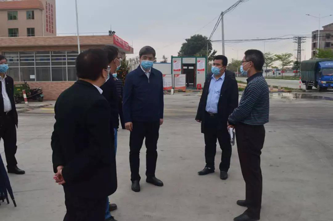 熟妇丰满多毛的大隂户