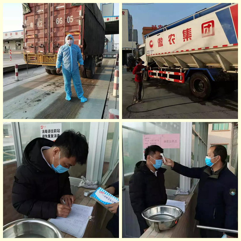 熟妇丰满多毛的大隂户