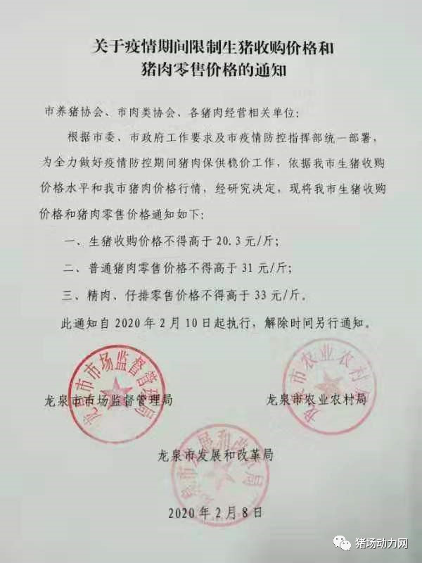 熟妇丰满多毛的大隂户