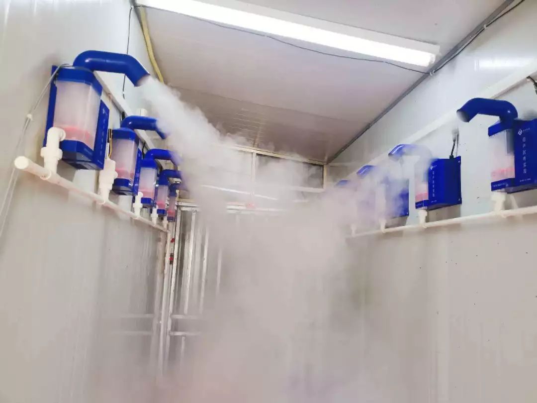 熟妇丰满多毛的大隂户