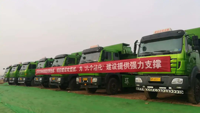 熟妇丰满多毛的大隂户