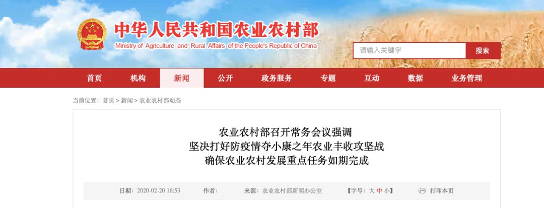 熟妇丰满多毛的大隂户