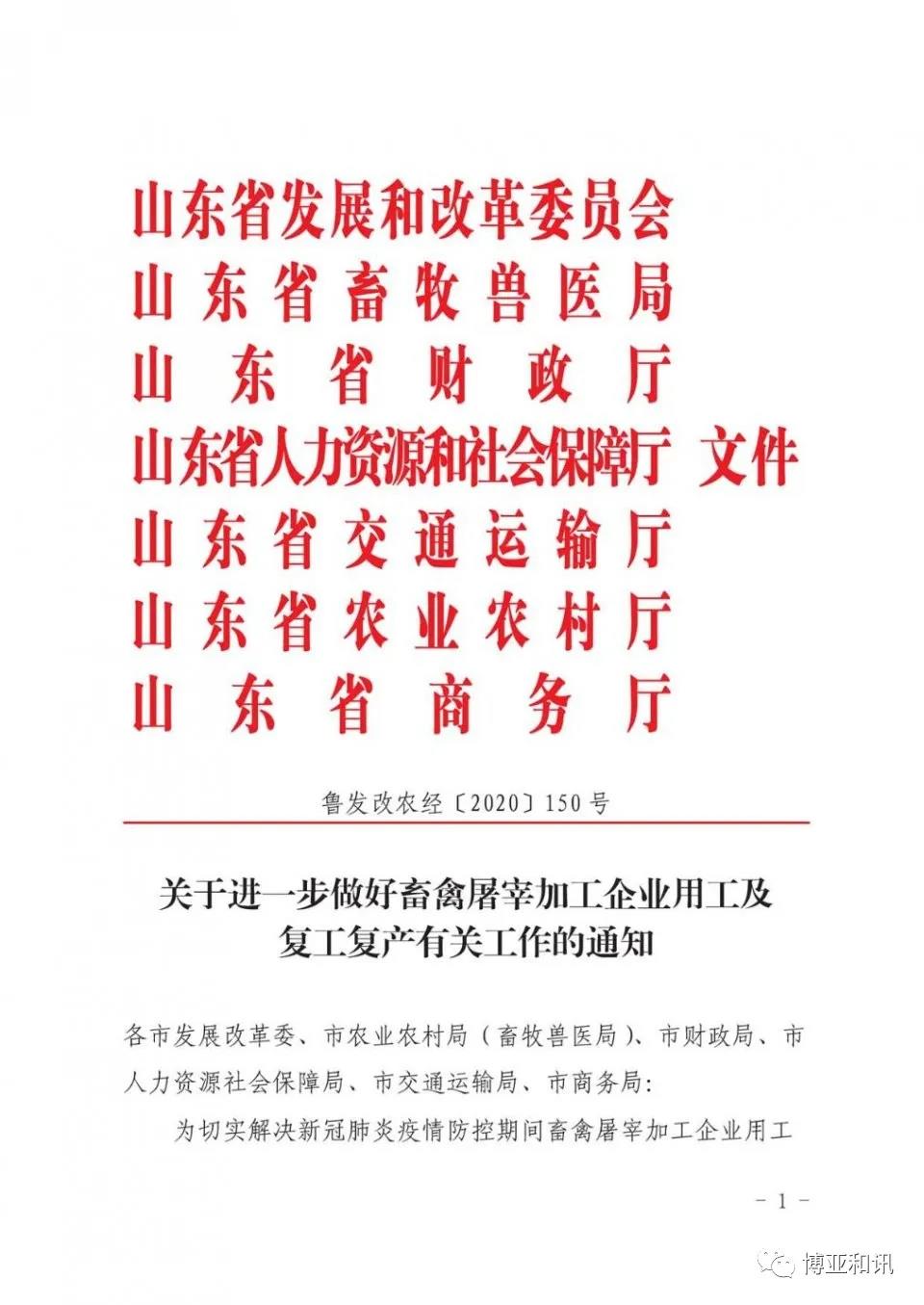 熟妇丰满多毛的大隂户