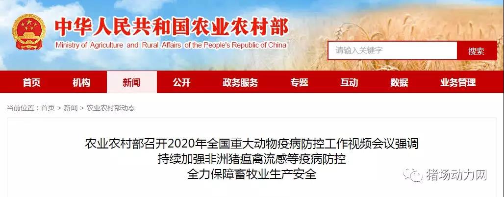 熟妇丰满多毛的大隂户