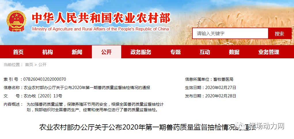 熟妇丰满多毛的大隂户