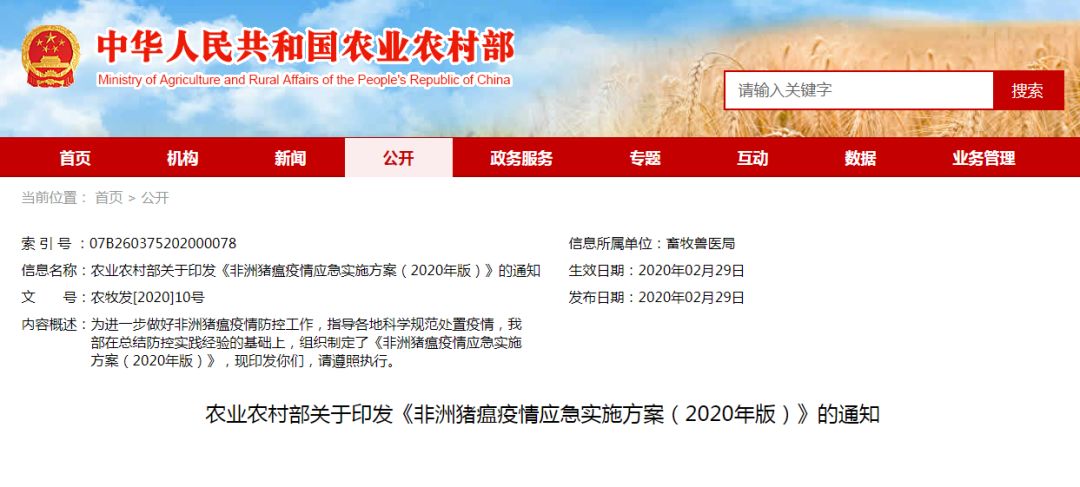 熟妇丰满多毛的大隂户