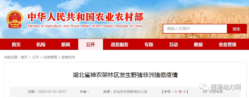 熟妇丰满多毛的大隂户