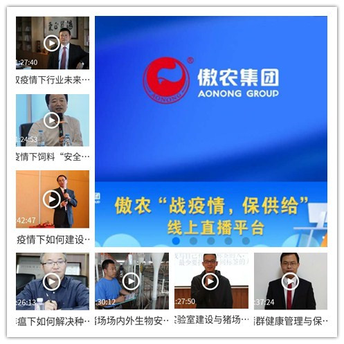 熟妇丰满多毛的大隂户