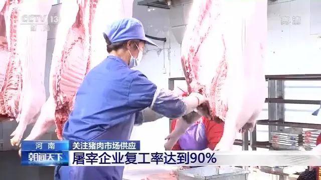 熟妇丰满多毛的大隂户