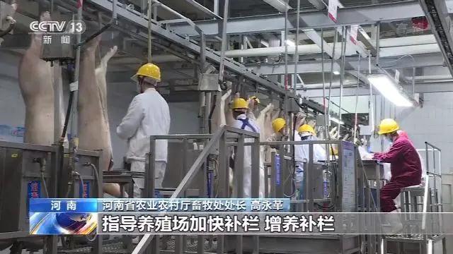 熟妇丰满多毛的大隂户