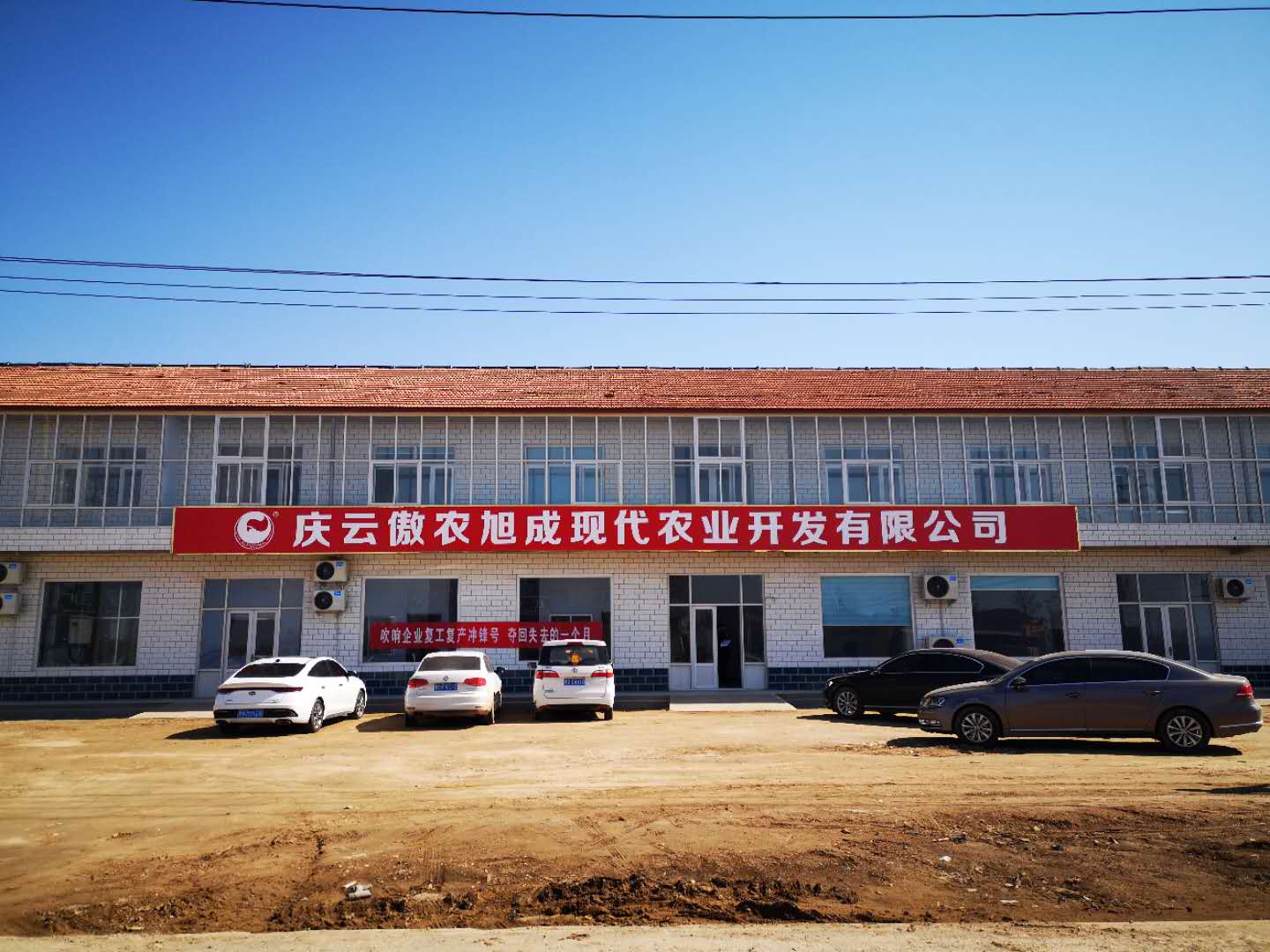 熟妇丰满多毛的大隂户