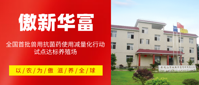 熟妇丰满多毛的大隂户