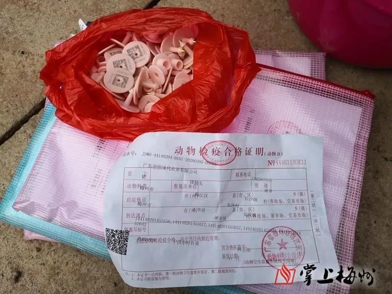 熟妇丰满多毛的大隂户