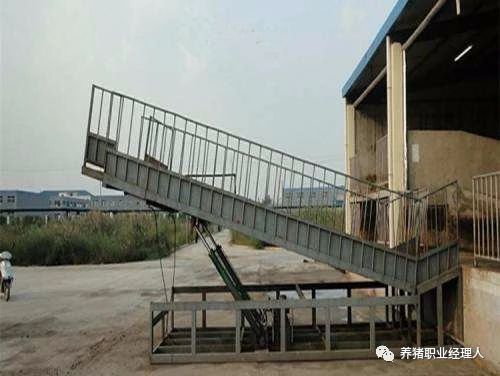 熟妇丰满多毛的大隂户