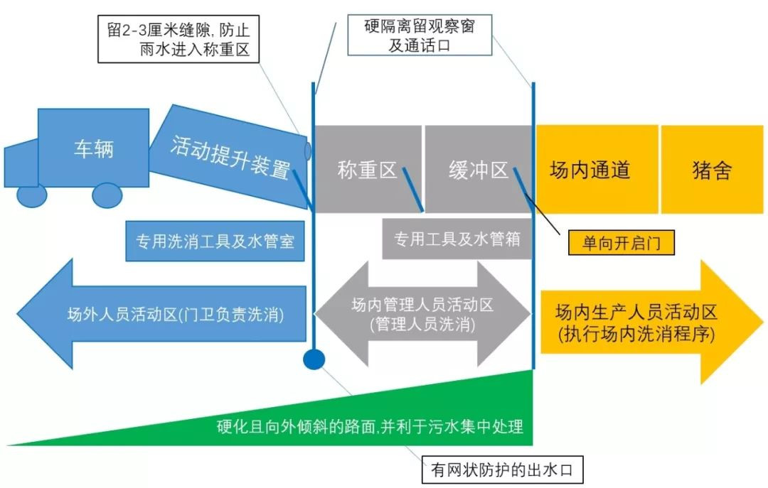 熟妇丰满多毛的大隂户
