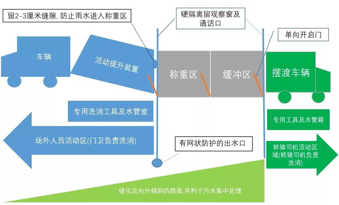 熟妇丰满多毛的大隂户