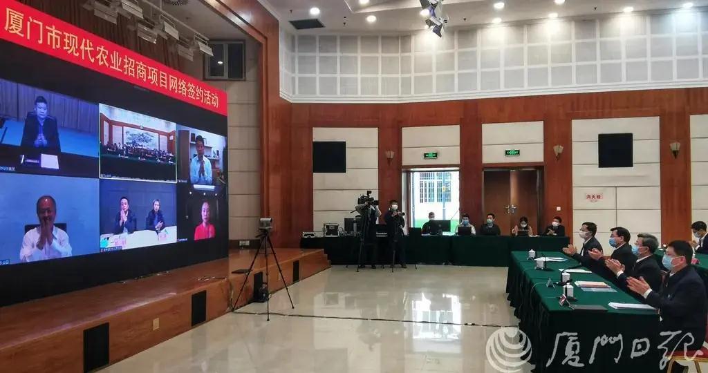 熟妇丰满多毛的大隂户