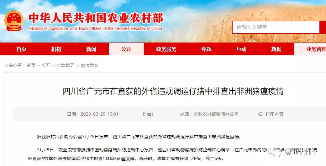 熟妇丰满多毛的大隂户