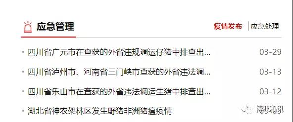 熟妇丰满多毛的大隂户