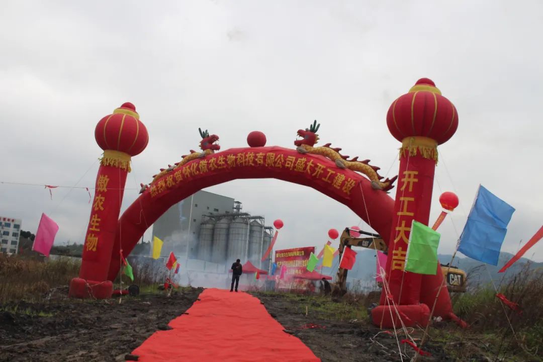 熟妇丰满多毛的大隂户