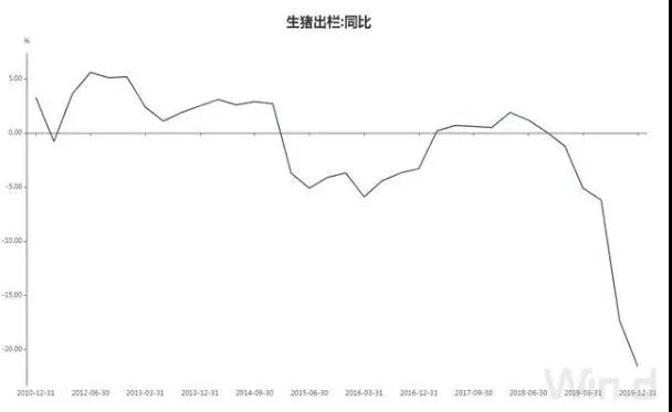 熟妇丰满多毛的大隂户