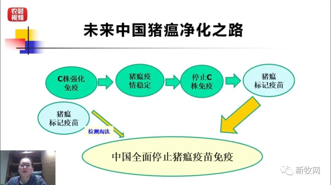 熟妇丰满多毛的大隂户