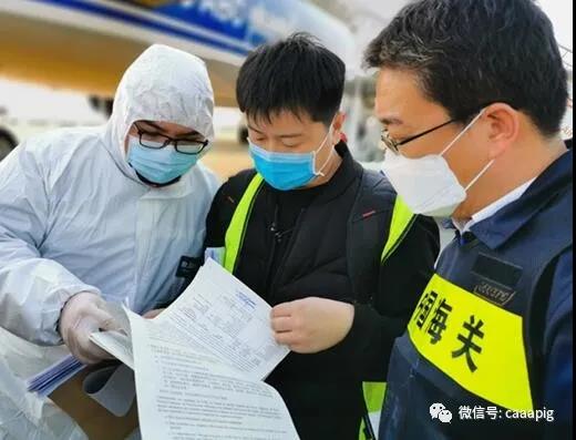 熟妇丰满多毛的大隂户