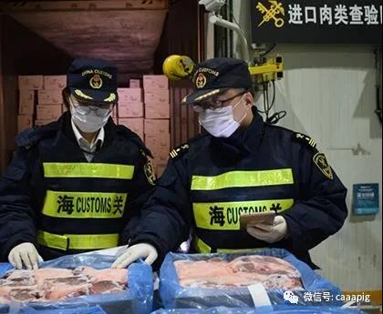 熟妇丰满多毛的大隂户