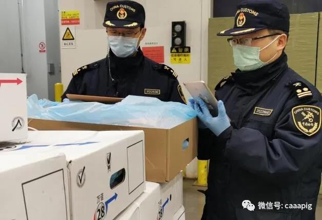 熟妇丰满多毛的大隂户