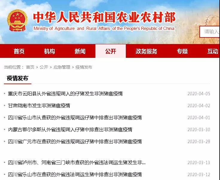 熟妇丰满多毛的大隂户