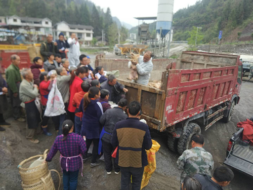 熟妇丰满多毛的大隂户