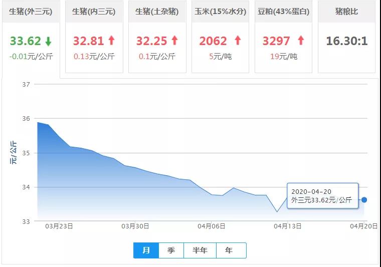 熟妇丰满多毛的大隂户