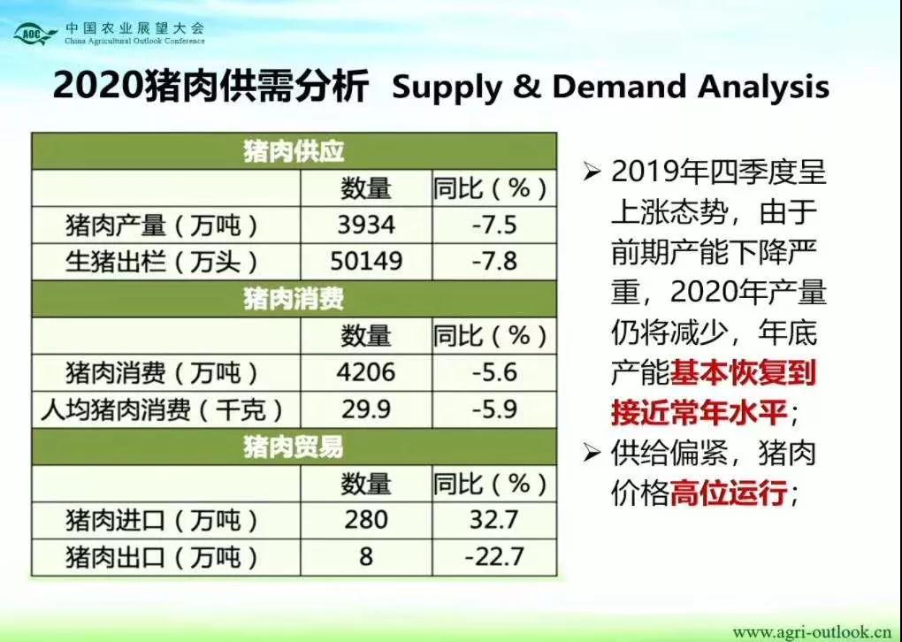 熟妇丰满多毛的大隂户