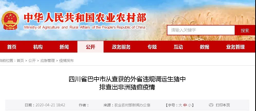 熟妇丰满多毛的大隂户