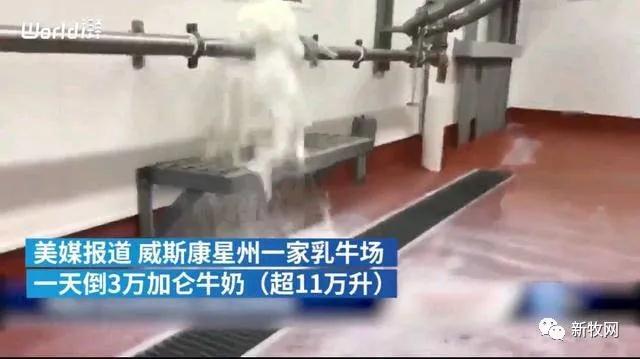 熟妇丰满多毛的大隂户