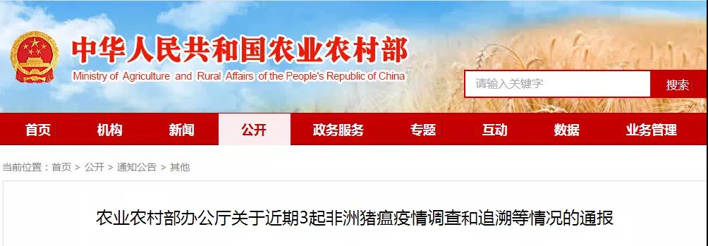 熟妇丰满多毛的大隂户