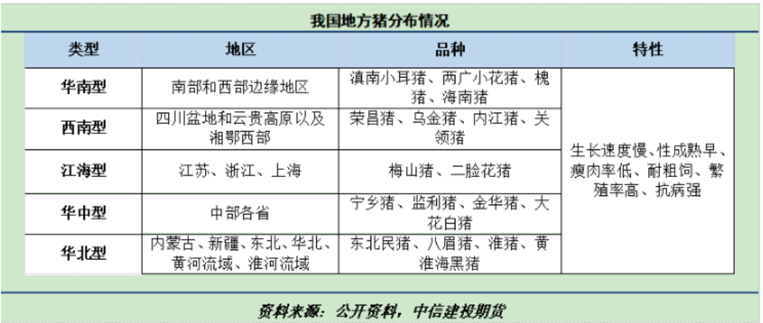 熟妇丰满多毛的大隂户