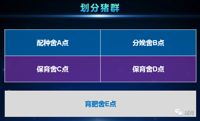 熟妇丰满多毛的大隂户
