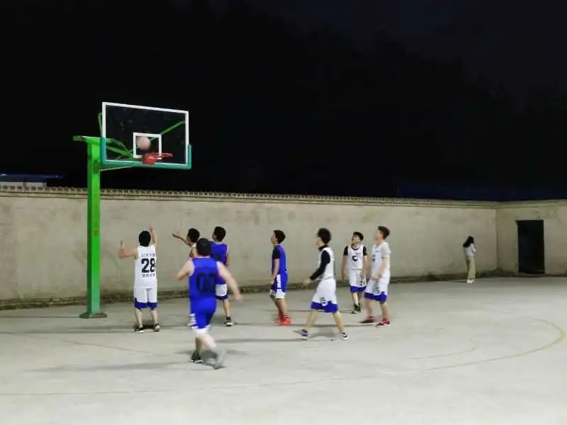 熟妇丰满多毛的大隂户