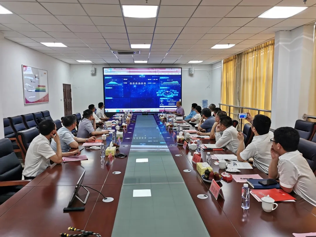 熟妇丰满多毛的大隂户