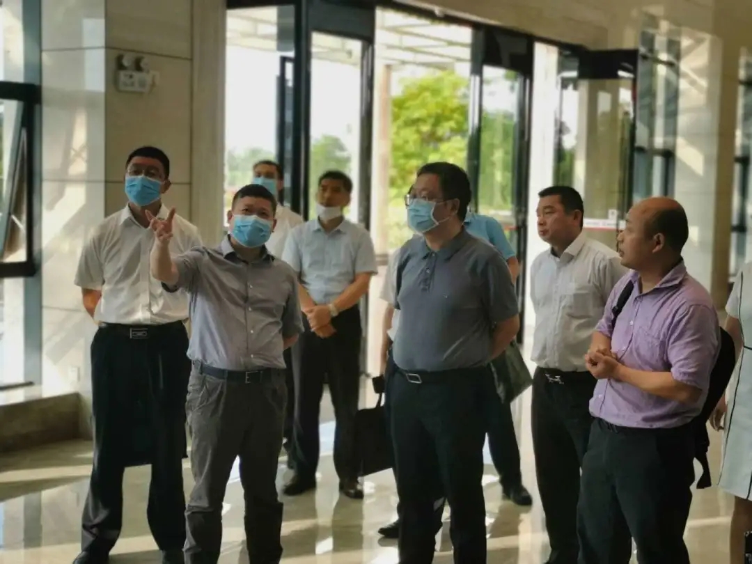 熟妇丰满多毛的大隂户