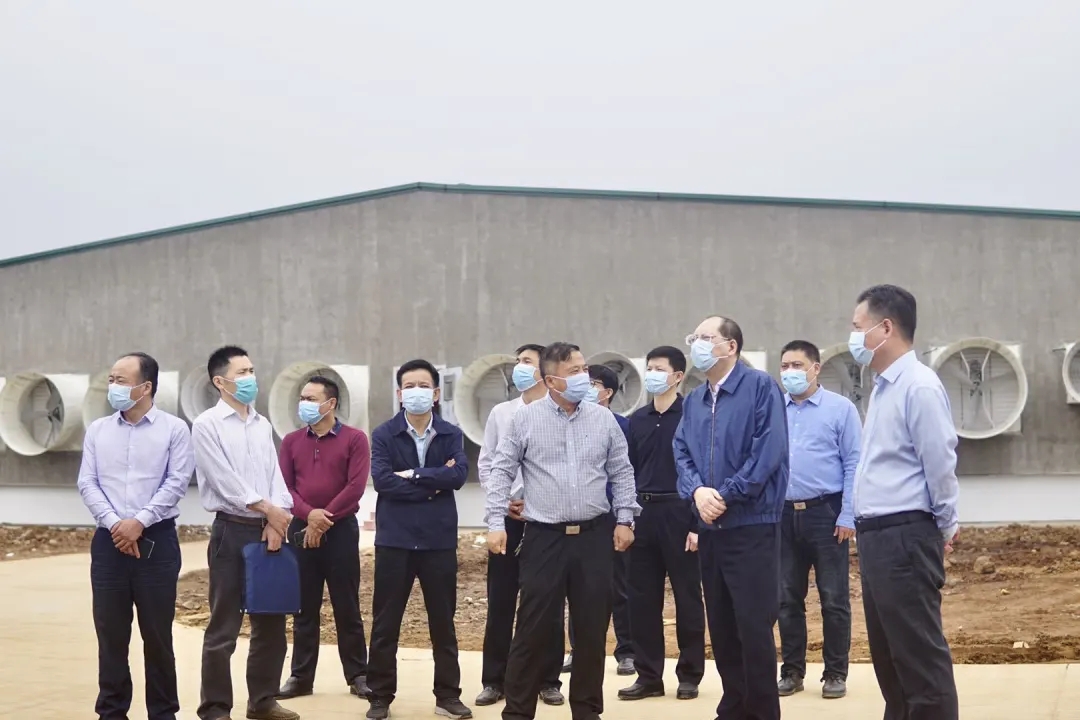 熟妇丰满多毛的大隂户