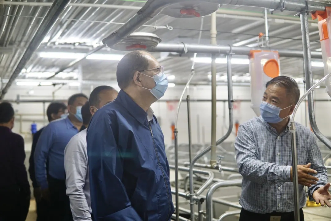 熟妇丰满多毛的大隂户