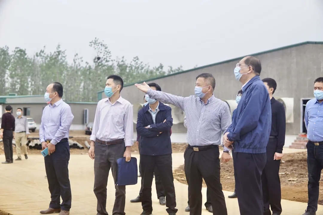 熟妇丰满多毛的大隂户