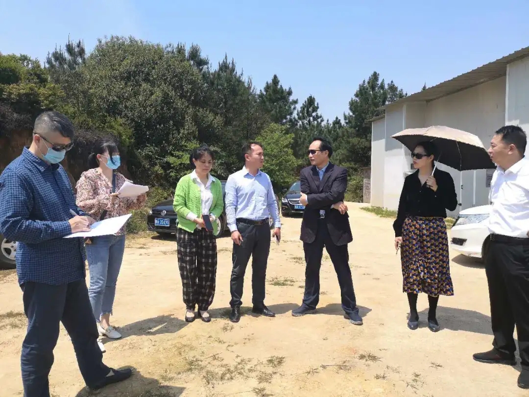 熟妇丰满多毛的大隂户