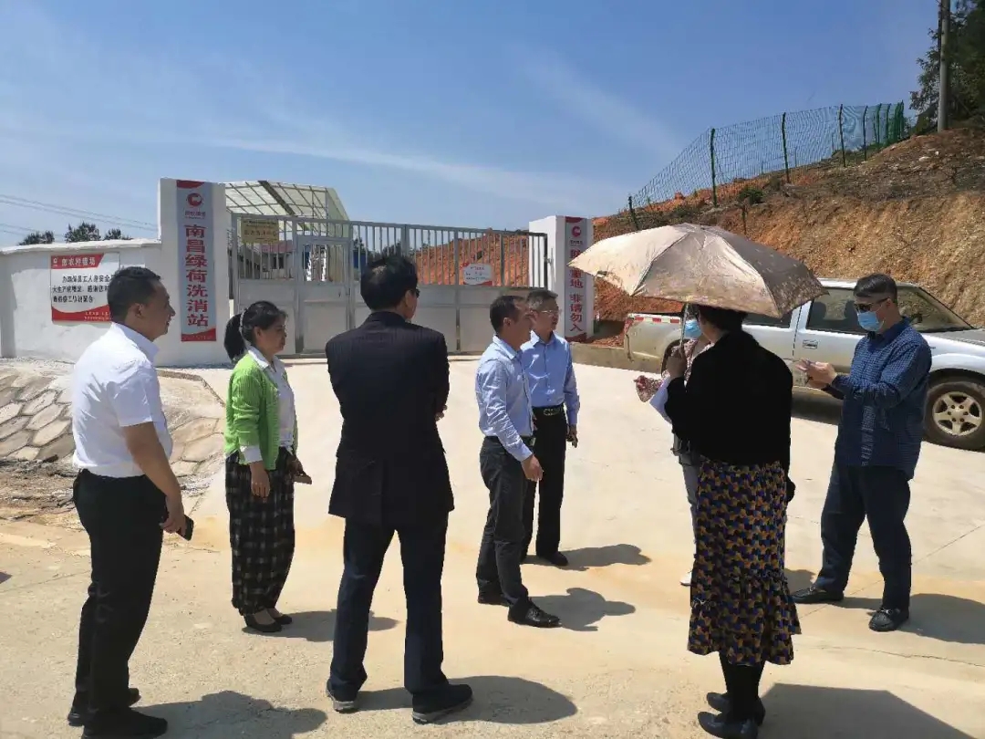 熟妇丰满多毛的大隂户