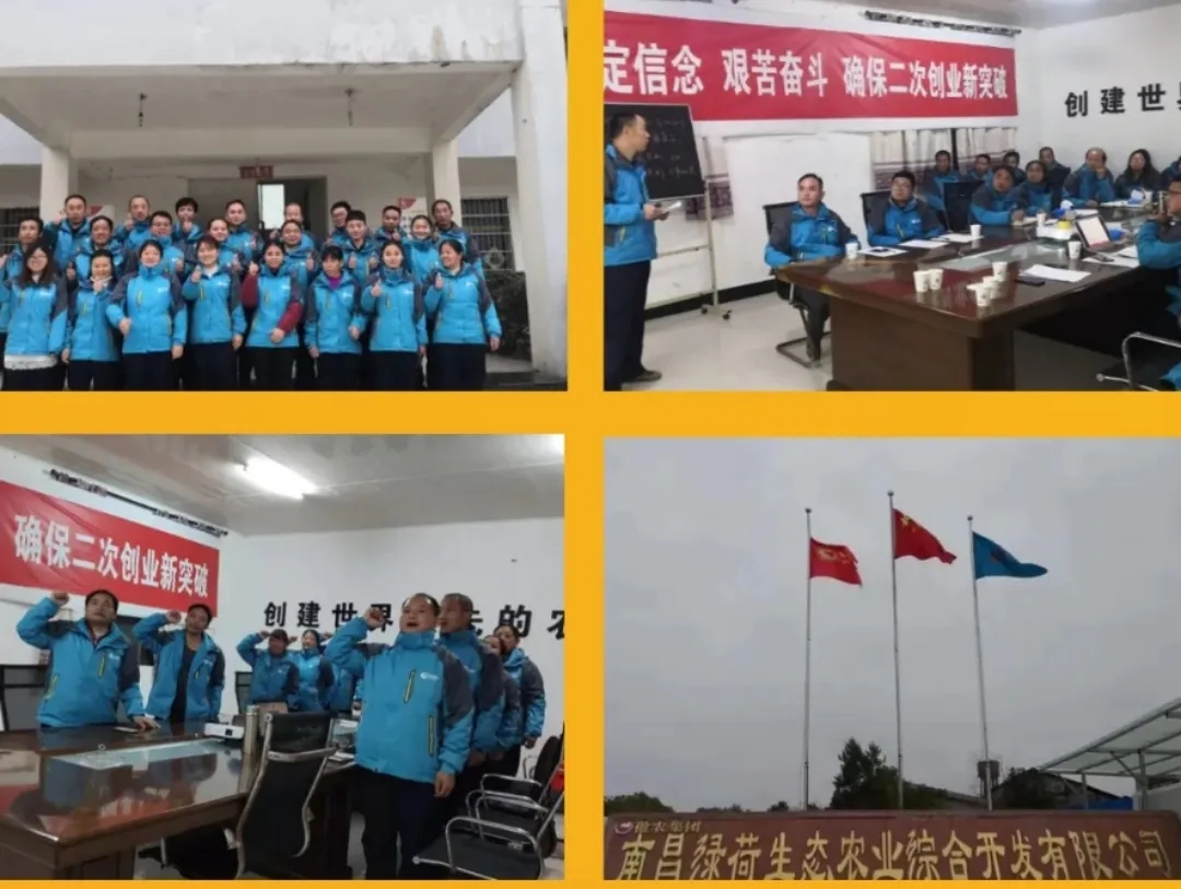 熟妇丰满多毛的大隂户