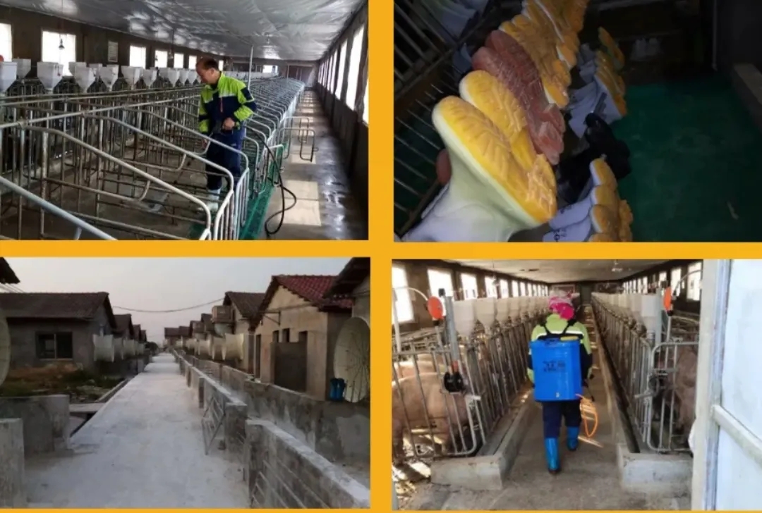 熟妇丰满多毛的大隂户